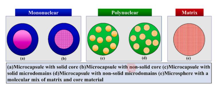 Fig.1 Structures of microparticles.