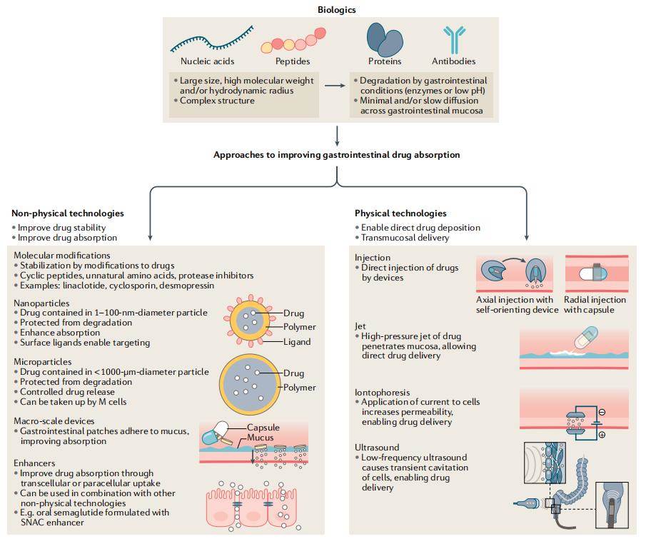 Fig.1 Preparation technologies for organic nanomaterial-based oral nanoformulations.