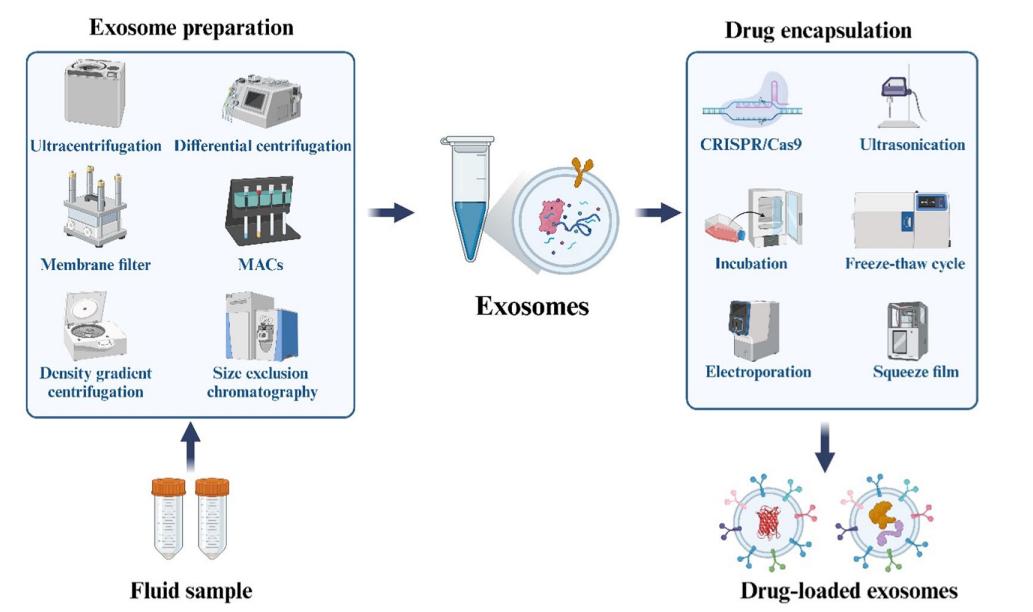 Fig.4 Engineered exosome drug loading methods.