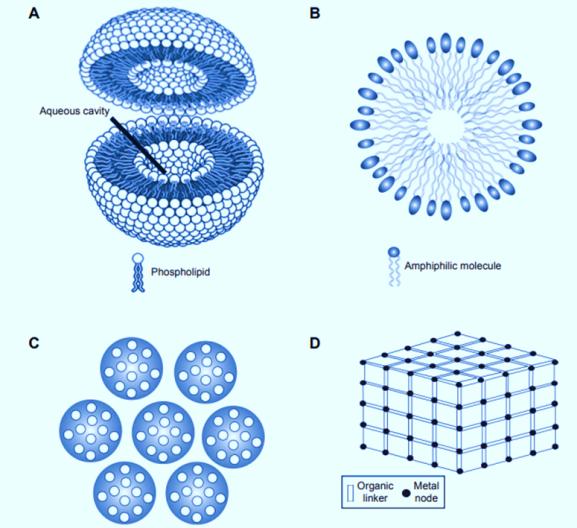 Fig.1 Structures of nanocarriers.