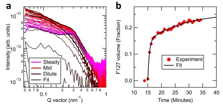 Fig.2 Micelle dynamics.