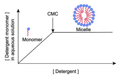 Fig.1 Critical micelle concentration and micelle formation.