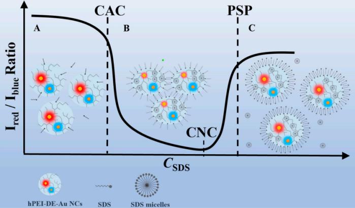 Fig.2 Critical aggregation concentration visualization.