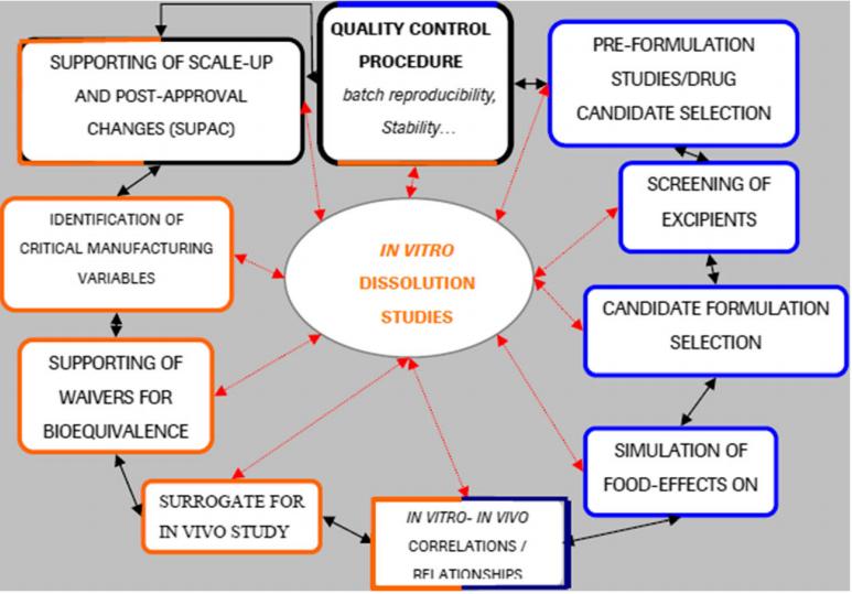 Fig.1 The importance of in vitro drug release of nanoformulations.