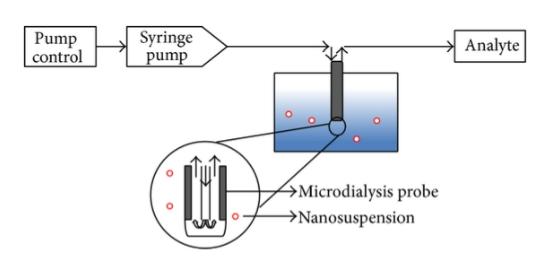 Fig.4 Microdialysis for in vitro drug release of nanoformulations.