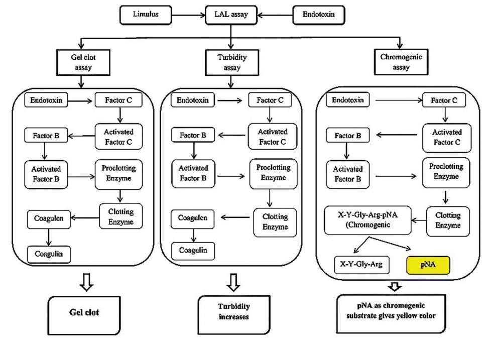 Fig.2 LAL-based endotoxin testing methods.