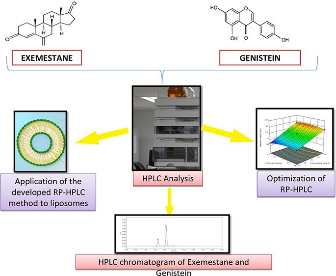 The nanoformulation analytical method development and validation process.