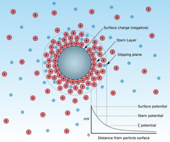 Fig.1 Schematic of Zeta potential.