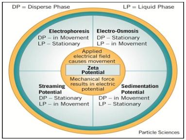 Fig.2 Our Zeta potential measurement methods.