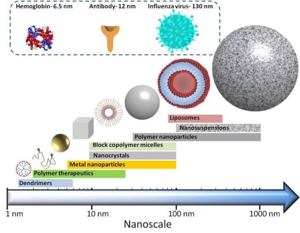Fig.1 Structures of nanomedicines.