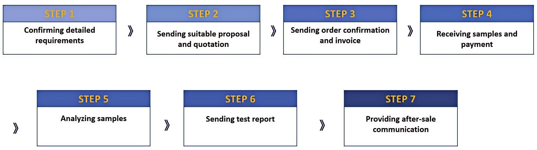 Fig.1 Our nanoformulation analytical services process.