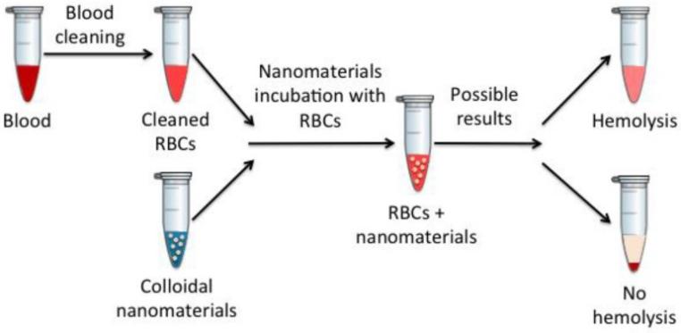 Fig.1 The hemolysis assay.