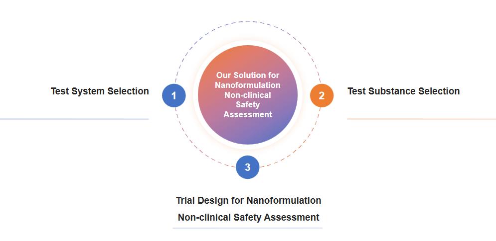 Fig.1 Nanoformulation non-clinical safety assessment procedure.