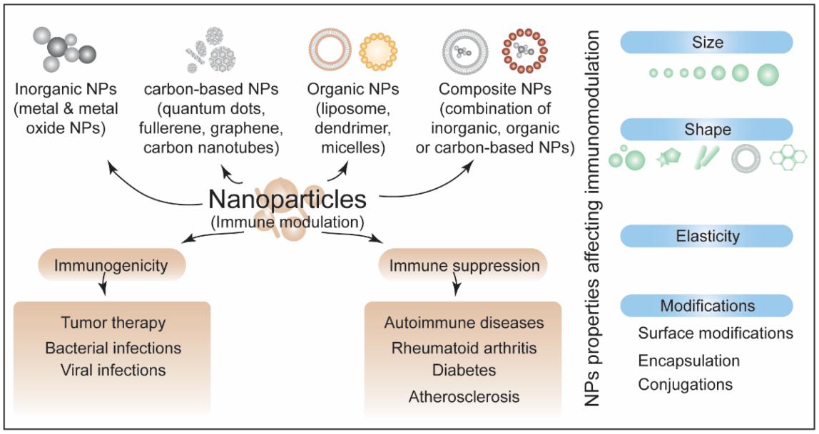 Fig.2 Immunomodulation of different forms of nanoparticles.