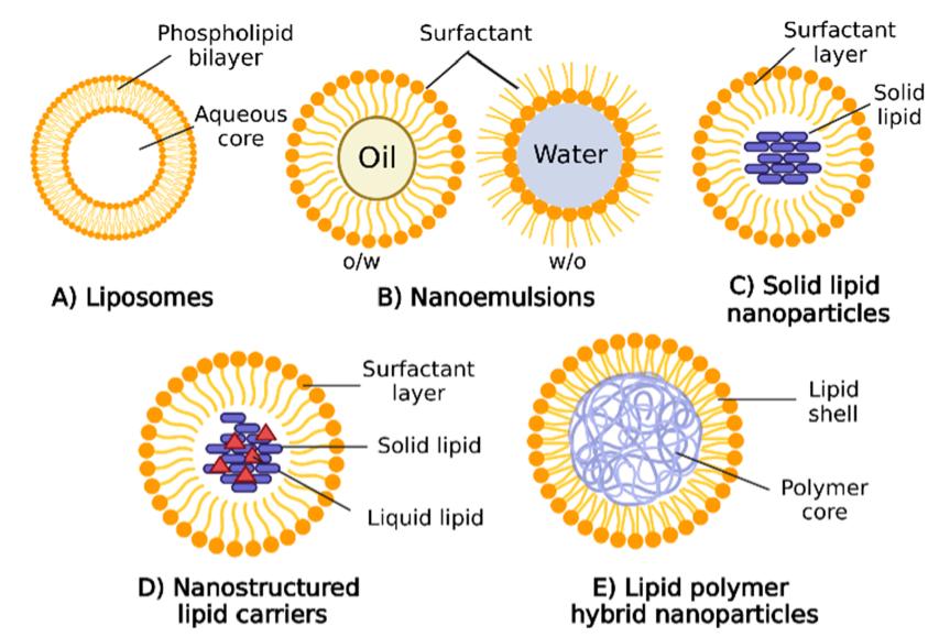 Fig.1 Structure of various lipid nanoparticles.