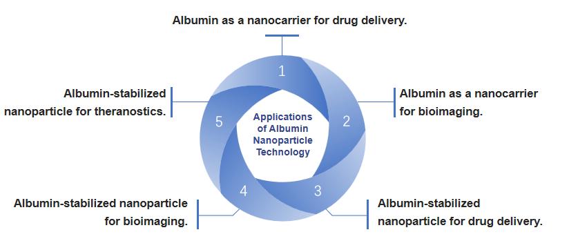 Fig.1 Applications of albumin nanoparticles.