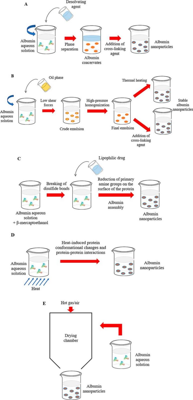 Fig.2 Preparation methods of albumin nanoparticles.