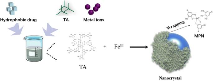 Fig.3 The fabrication process of metal phenolic network-encapsulated nanocrystalline particles.