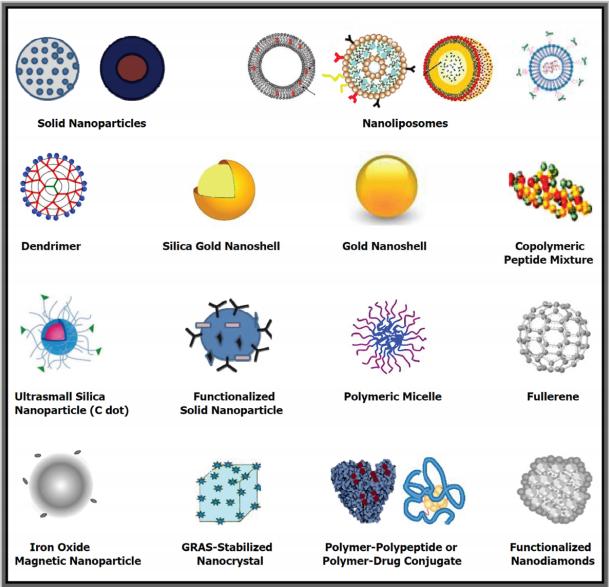 Fig.1 Nanodrug delivery system platforms.