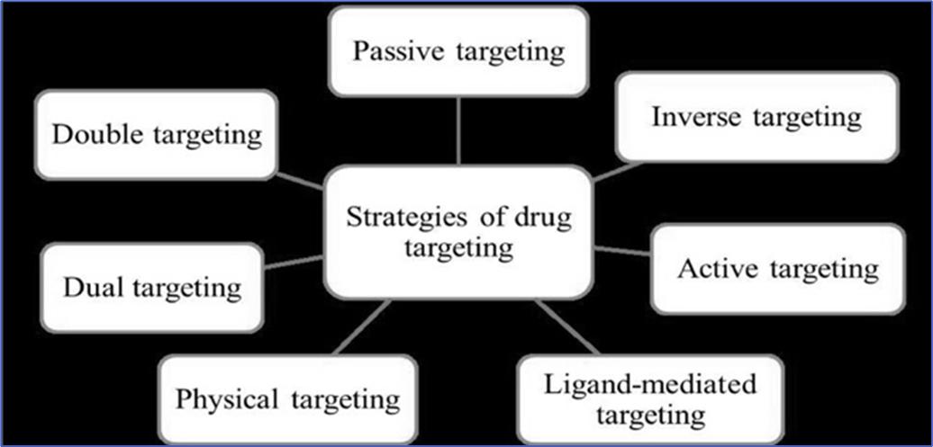 Fig.3 Strategies for drug targeting.