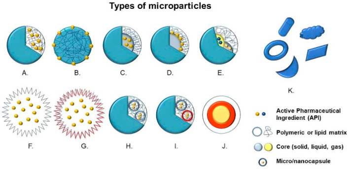Fig.1 Types of microparticles.