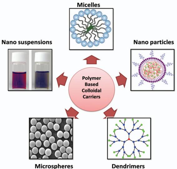 Fig.1 Polymer based colloidal carriers.