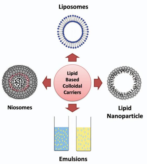 Fig.2 Lipid based colloidal carriers.