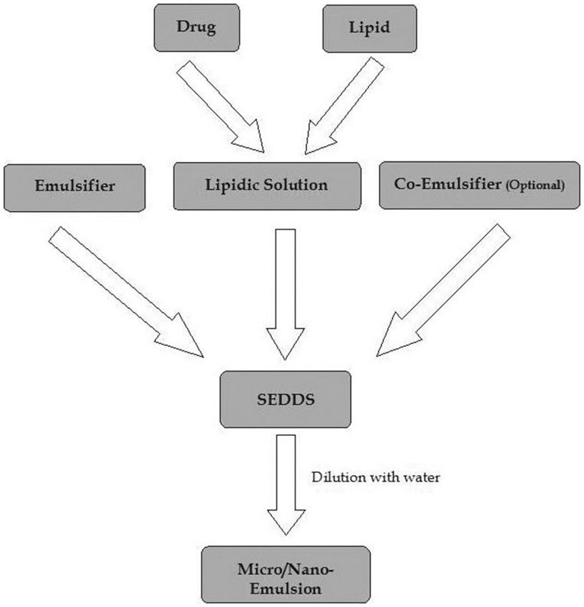 Fig.2 Mechanism of self-emulsifying drug delivery system.
