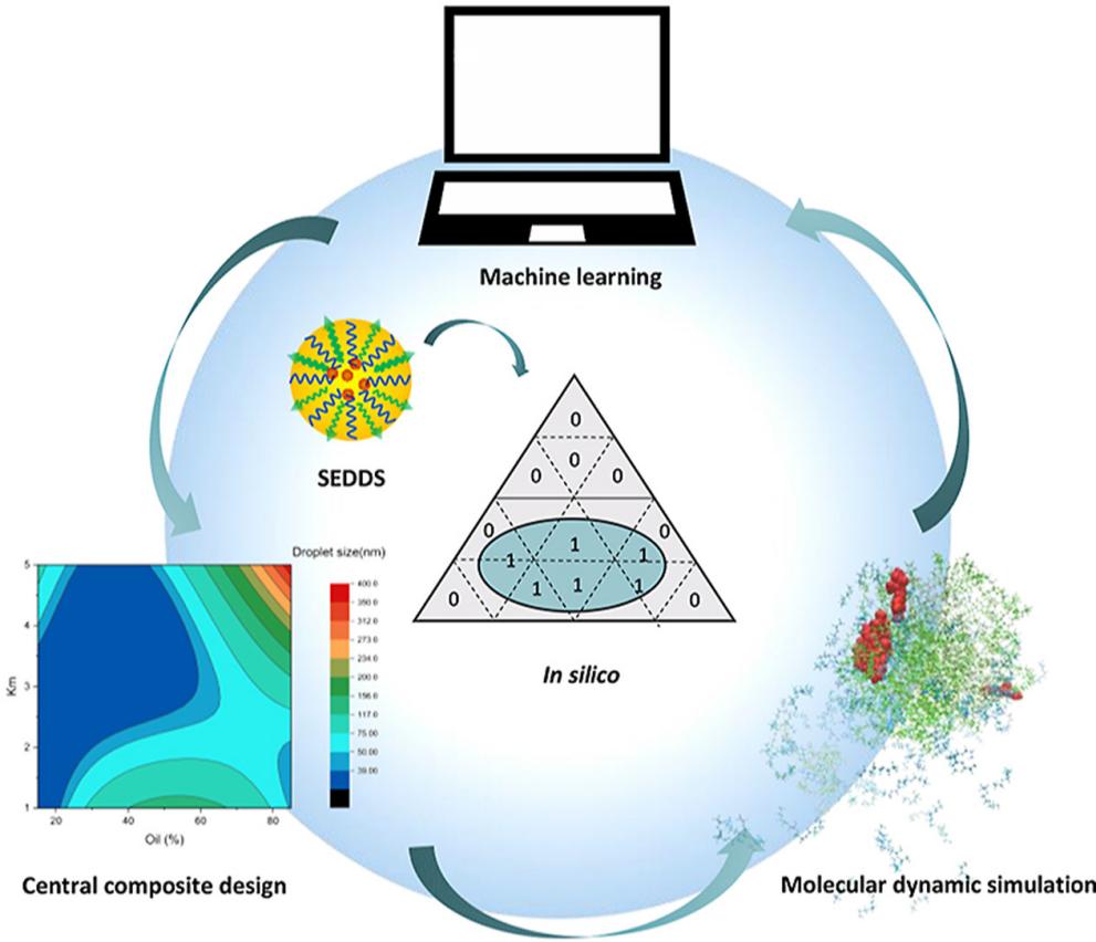 Fig.4 Integrated in silico formulation design of self-emulsifying drug delivery system.