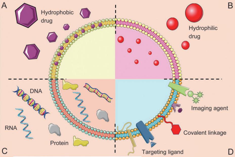 Fig.1 Types of exosome drug delivery systems.