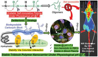 Fig.3 Zwitterionic strategy for in vitro and in vivo drug delivery.