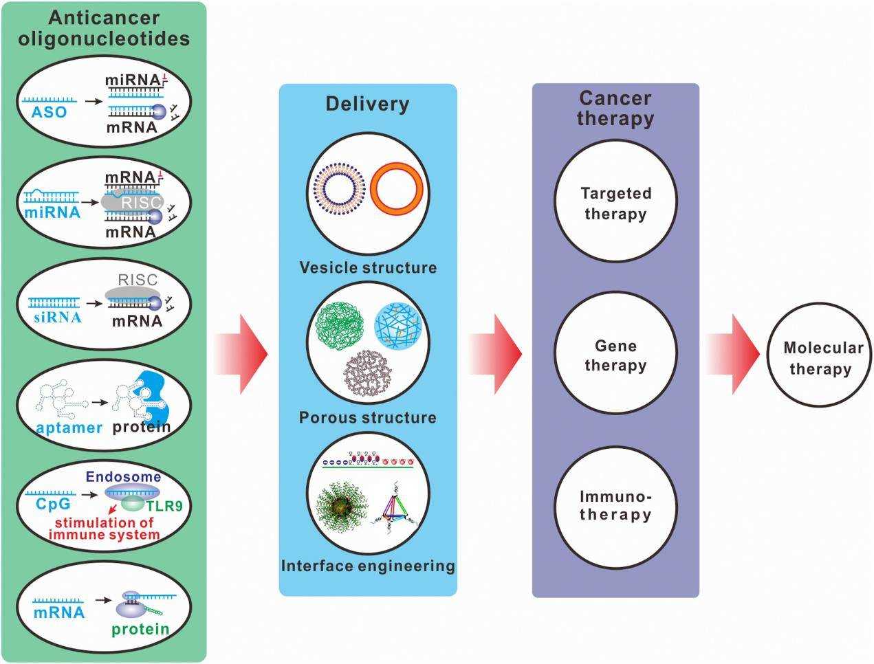 Fig.4 Nanocarrier-based systems for delivery of oligonucleotides.