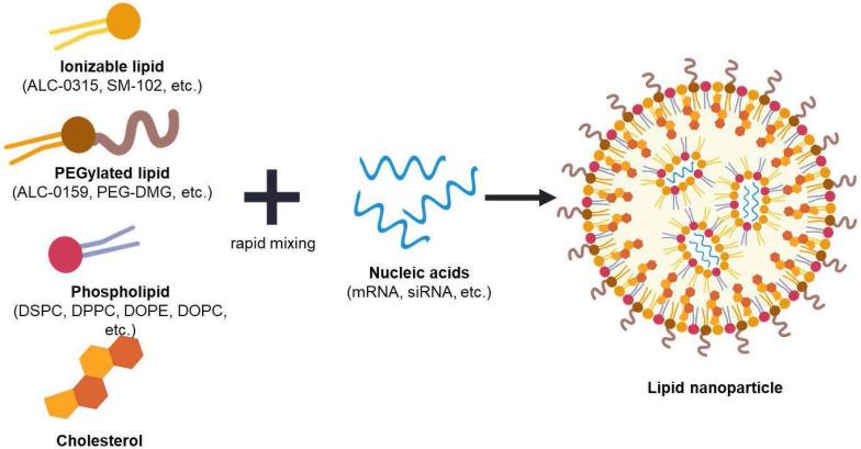 Fig.1 Compositions of Lipid nanoparticles for mRNA.