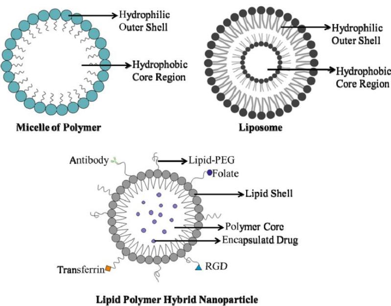 Fig.1 Structure of lipid-polymer hybrid nanoparticles.