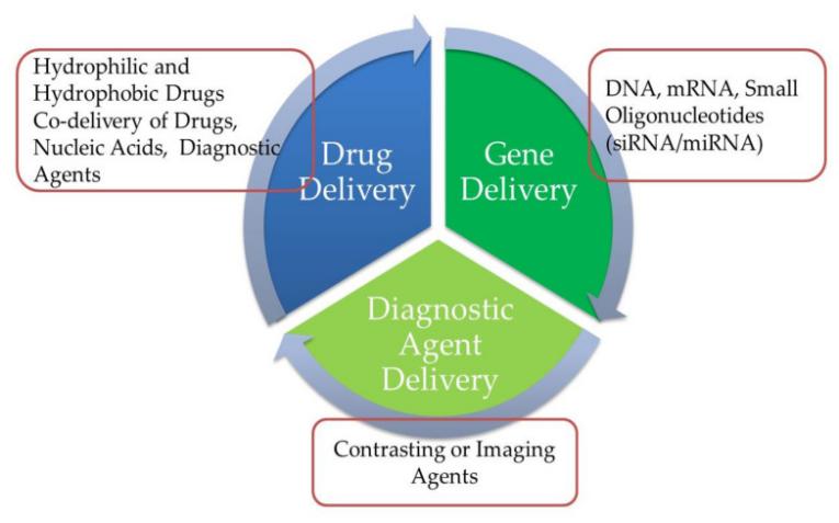 Fig.3 Application of lipid-polymer hybrid nanoparticles in clinical diagnostics and therapies.
