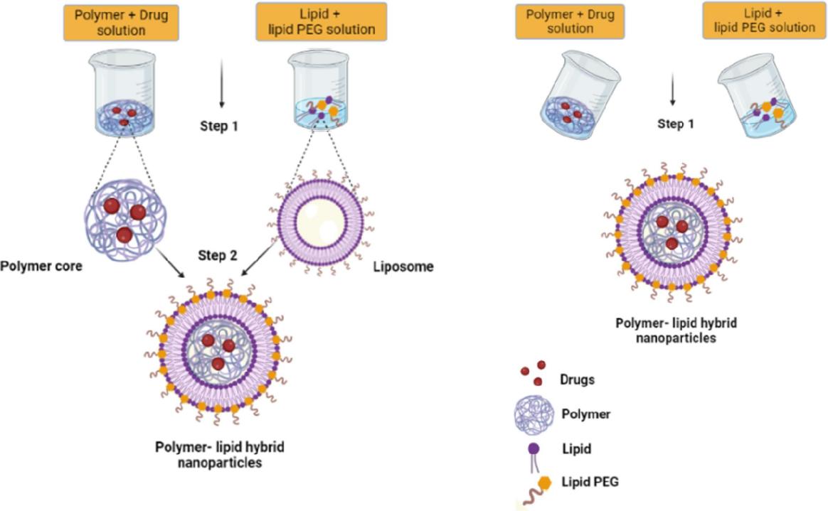 Fig.4 Preparation of lipid-polymer hybrid nanoparticles using one-step and two-step methods.