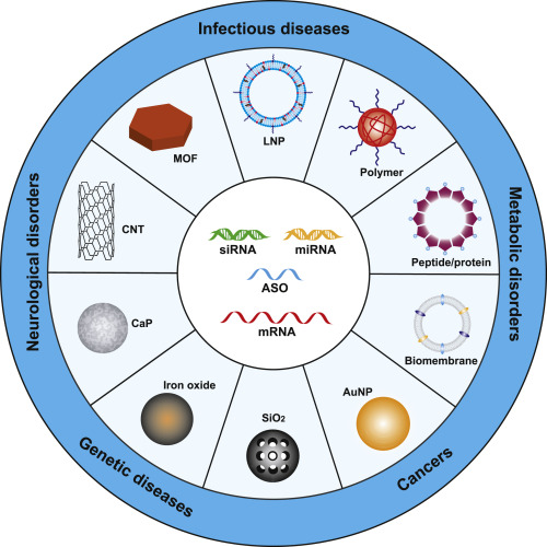 Fig.2 Applications of biomembrane-based RNA delivery system.