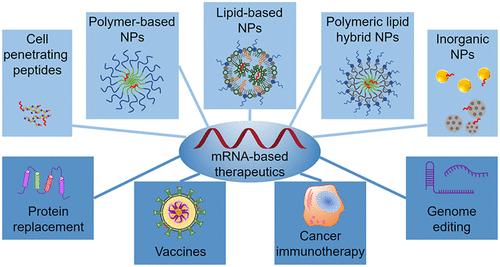 Fig.1 mRNA-based therapeutics for biologics.