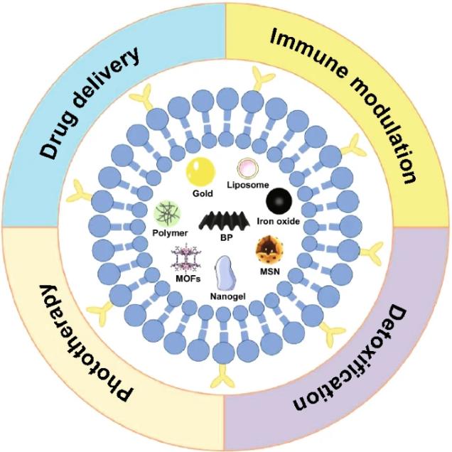 Fig.2 Biomedical applications of cell membrane biomimetic nanotechnology.