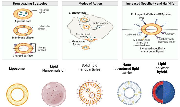 Fig.1 Types of lipid nanoparticles for therapeutic research.
