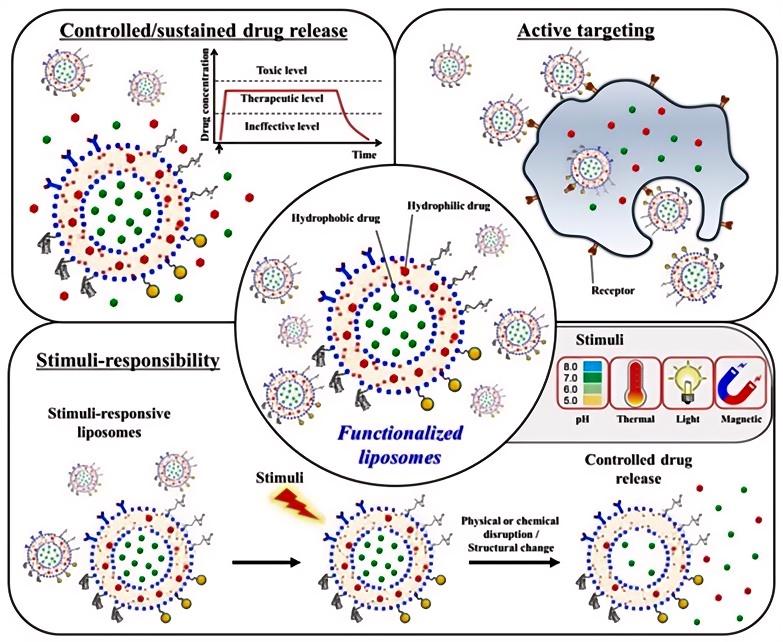 Fig.2 Bone regeneration applications of lipid nanoparticles.