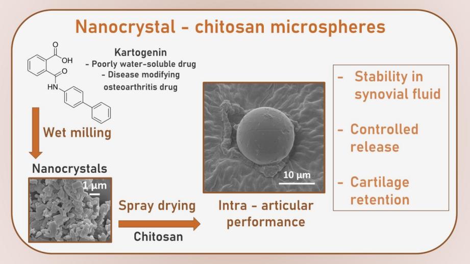 Fig.2 Nanocrystalline chitosan particle delivery system for the treatment of osteoarthritis.