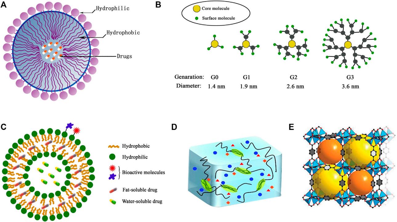 Fig.1 Different polymeric nanoparticles for therapeutic research.