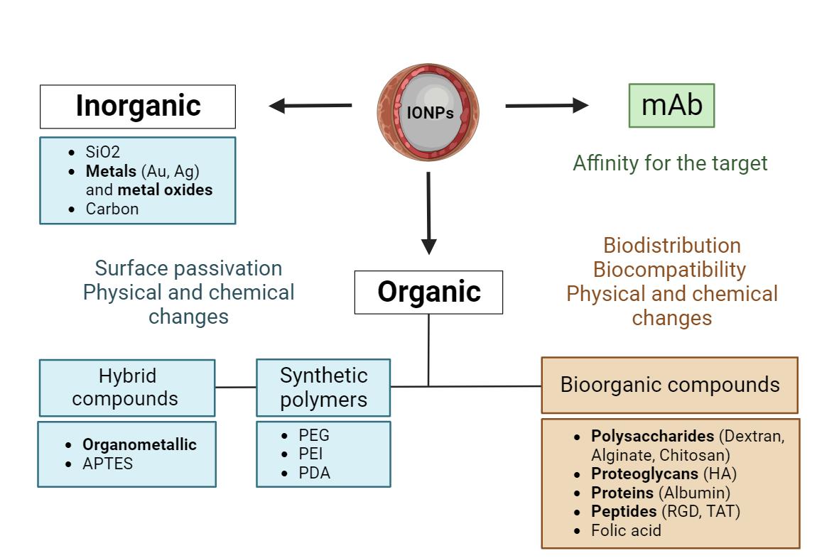 Fig.2 The modification methods of iron oxide nanoparticles for therapeutic research.