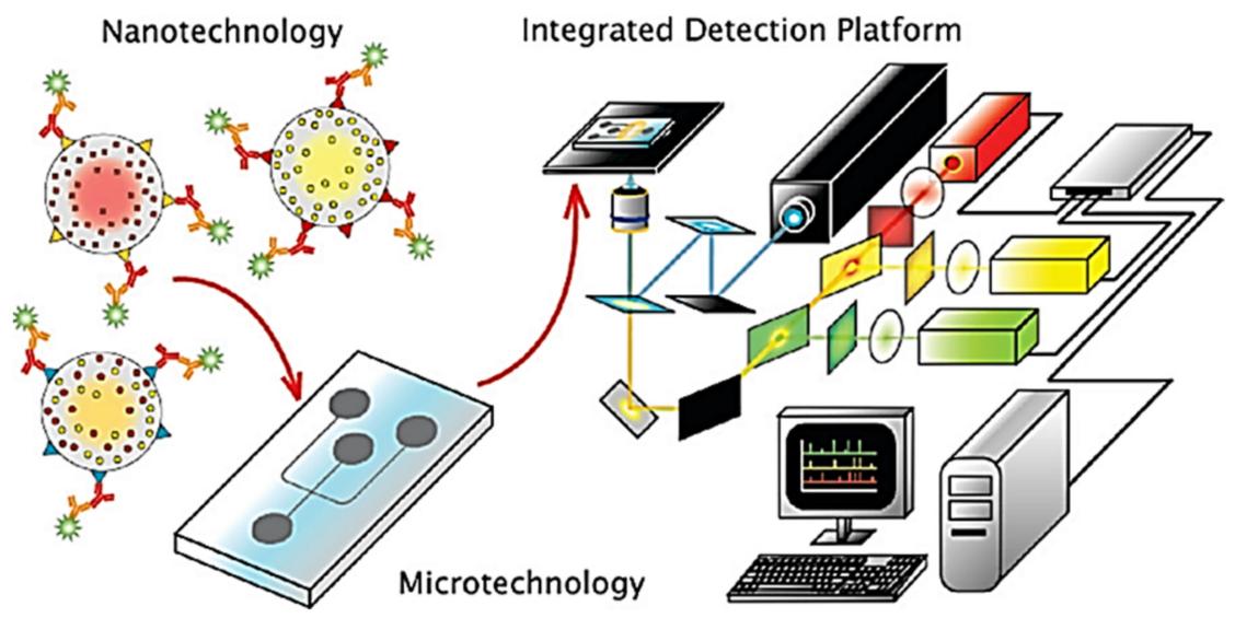 Fig.1 Microfluidic diagnostic chips based on quantum dots, solution-based sandwich assay, microfluidics and fluorescence detection.