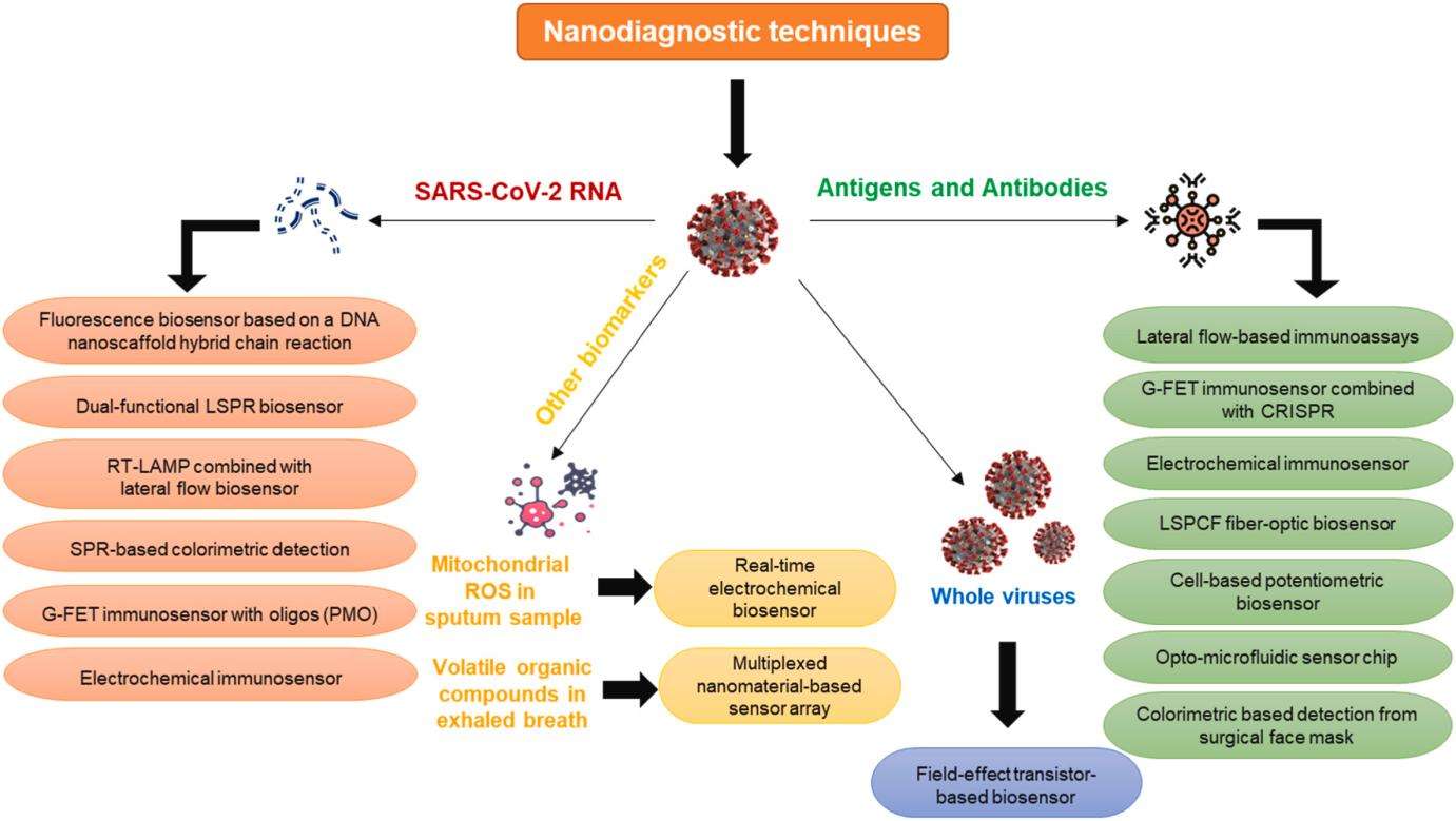 Fig.2 Nanotechnology-based diagnostic devices for COVID-19.