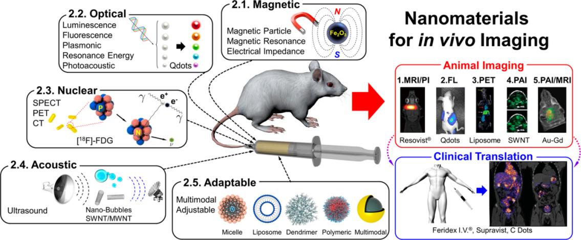 Fig.3 Various nanomaterials for in vivo imaging studies.