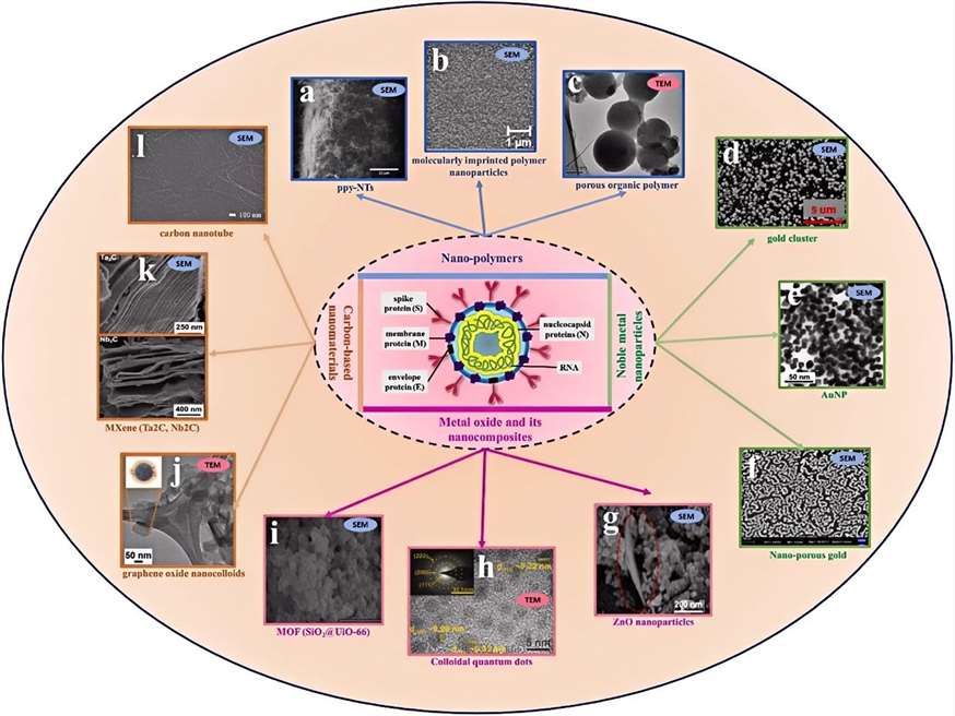 Fig.5 Nanomaterial-based biosensors for the detection of SARS-CoV-2 virus.