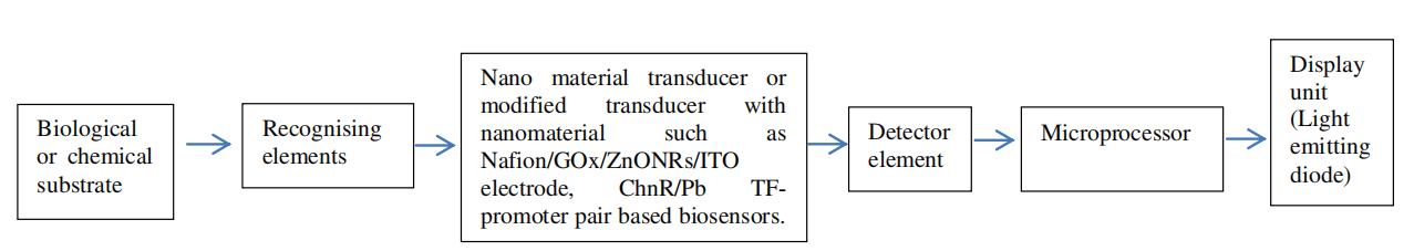 Fig.3 The design process of nanobiosensors.
