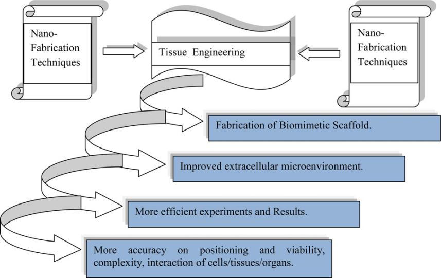 Fig.1 Advantages of nanoformulation in tissue engineering research.